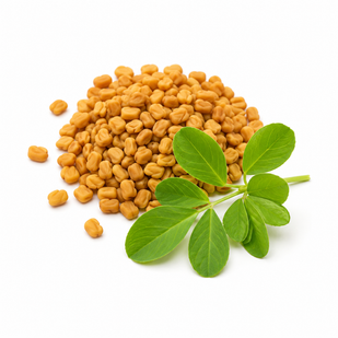 Fenugreek Extract